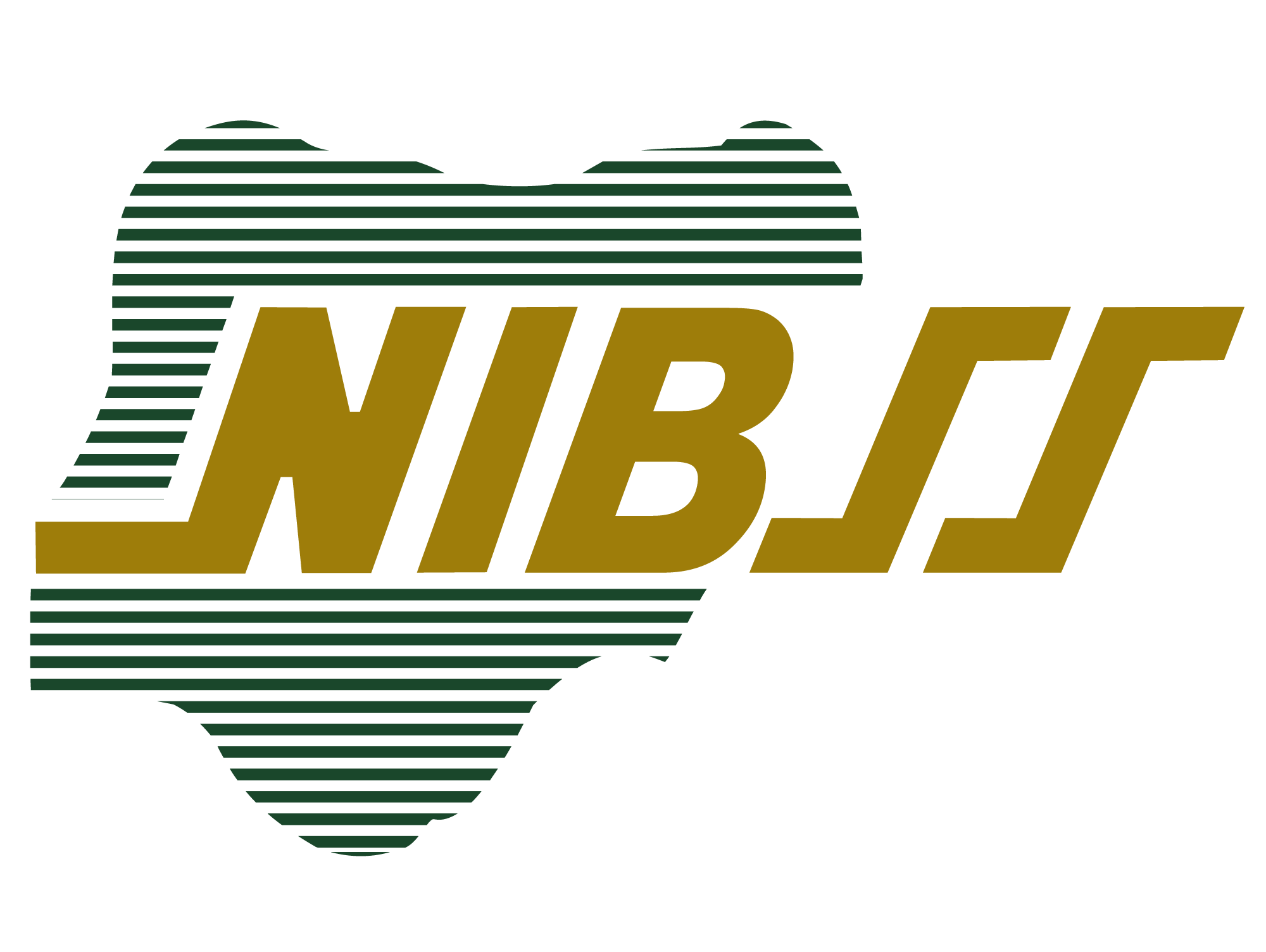 nibss logo